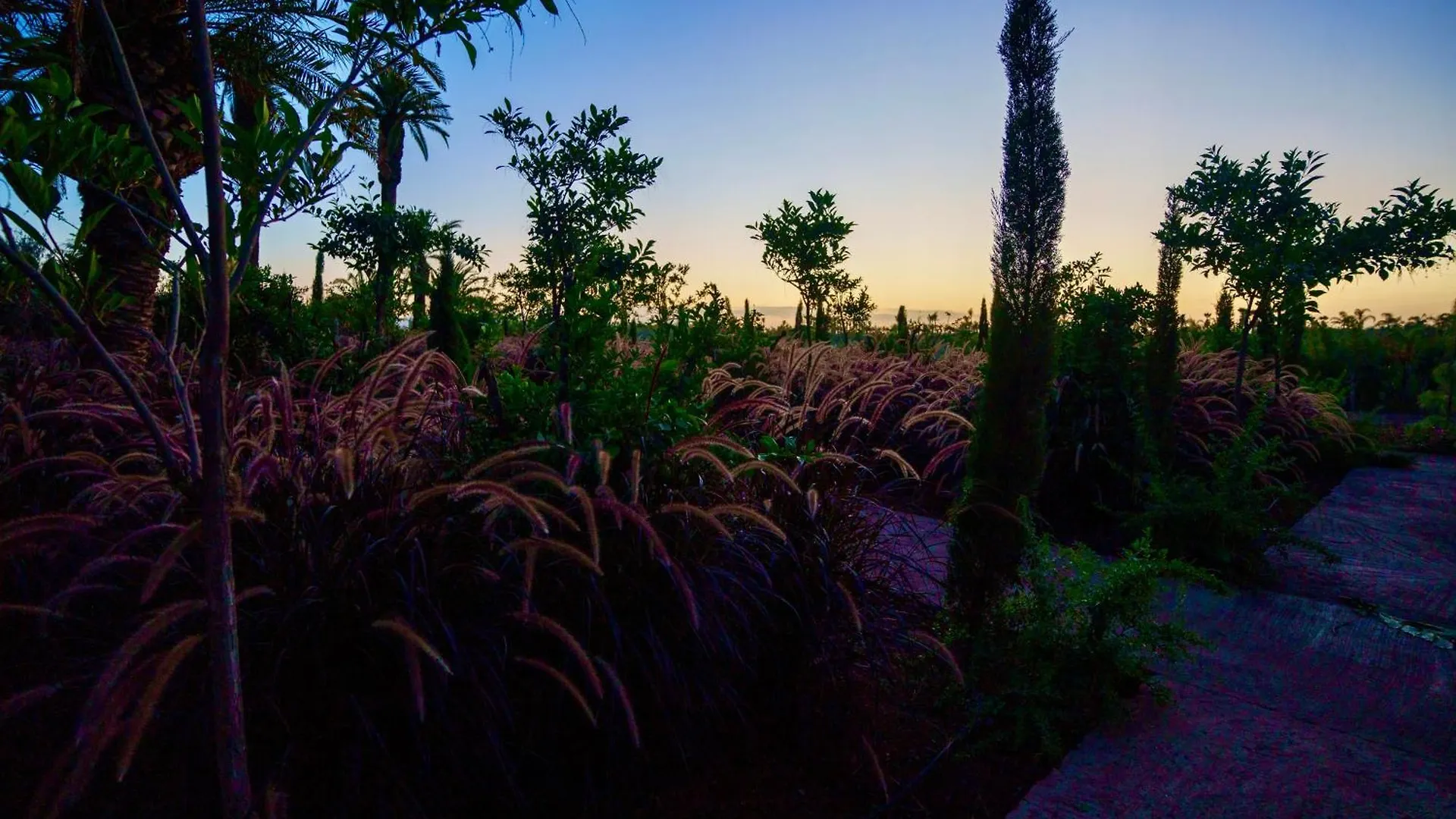 Hotel Whisper Marrakesh Marruecos