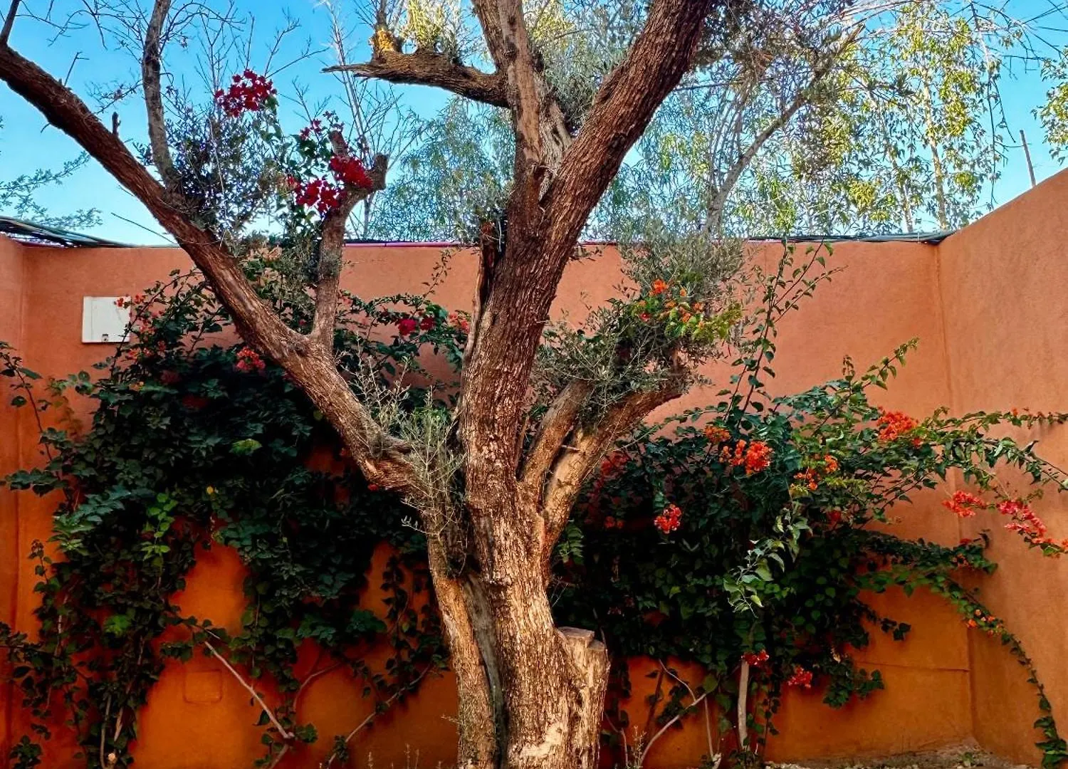 Hotel Whisper à Marrakesh